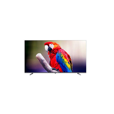 /storage/product/p/8457/image/202455e8b290-ae62-43c0-aa7d-eff570276b597.jpg